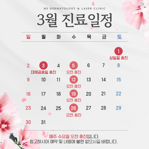 진료일정