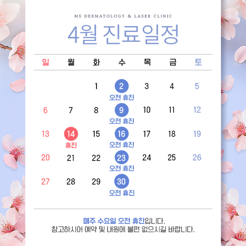 진료일정