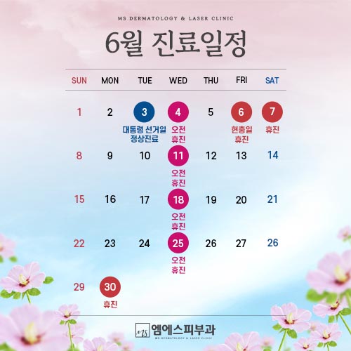 진료일정