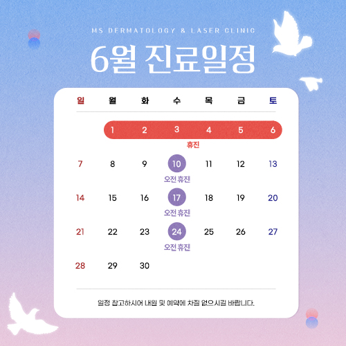 진료일정