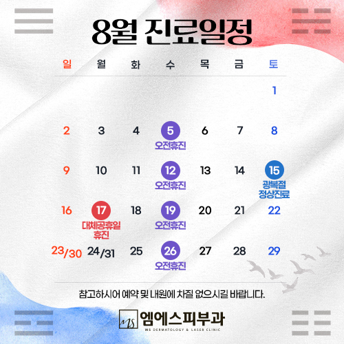 진료일정